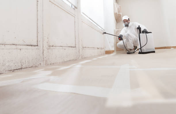 24/7 Emergency Mold Removal experts in Georgetown, MA