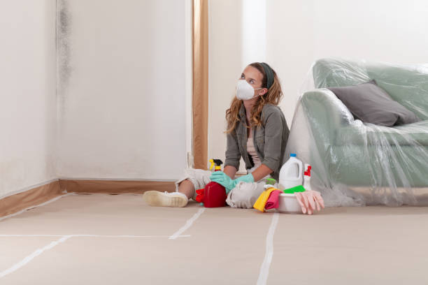 Reliable Mold Removal contractor in Georgetown, MA by Mold Remediation HQ